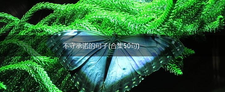不守承诺的句子(合集50句),第1张