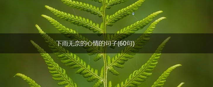 下雨无奈的心情的句子(60句),第1张