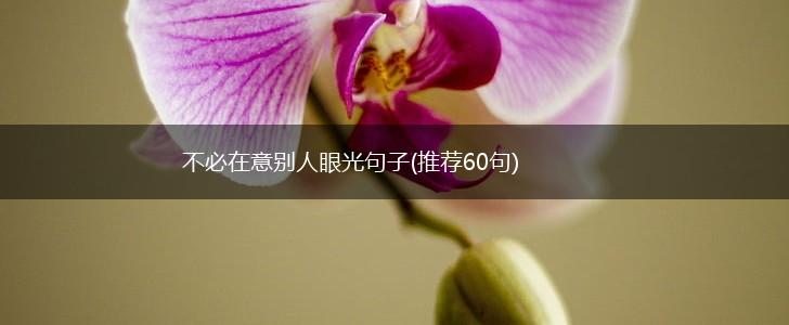 不必在意别人眼光句子(推荐60句),第1张
