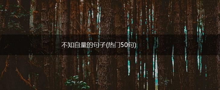 不知自量的句子(热门50句),第1张