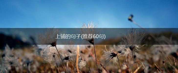 上铺的句子(推荐60句),第1张