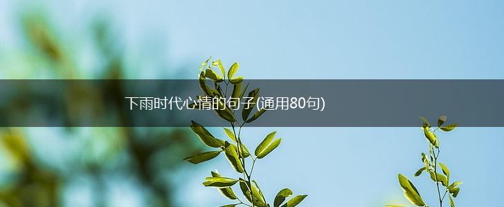 下雨时代心情的句子(通用80句),第1张