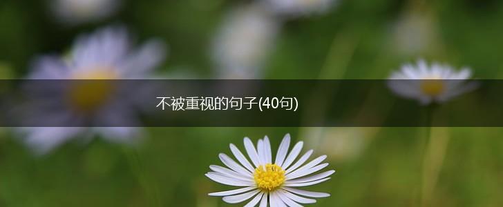 不被重视的句子(40句),第1张