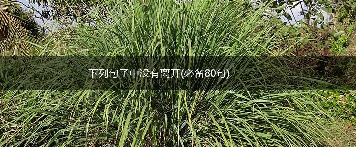 下列句子中没有离开(必备80句),第1张