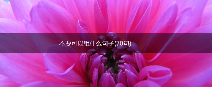 不要可以组什么句子(70句),第1张