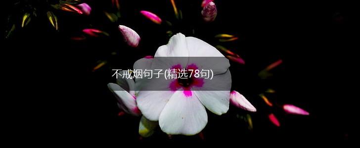 不戒烟句子(精选78句),第1张