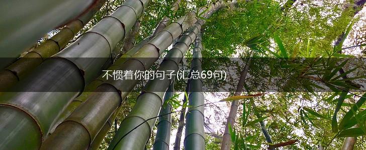 不惯着你的句子(汇总69句),第1张