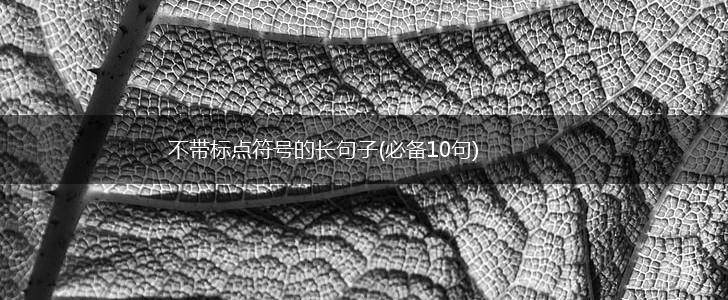 不带标点符号的长句子(必备10句),第1张