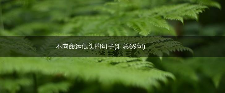 不向命运低头的句子(汇总69句),第1张