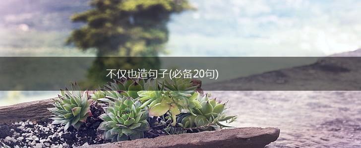 不仅也造句子(必备20句),第1张
