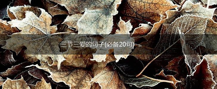 三节三爱的句子(必备20句),第1张