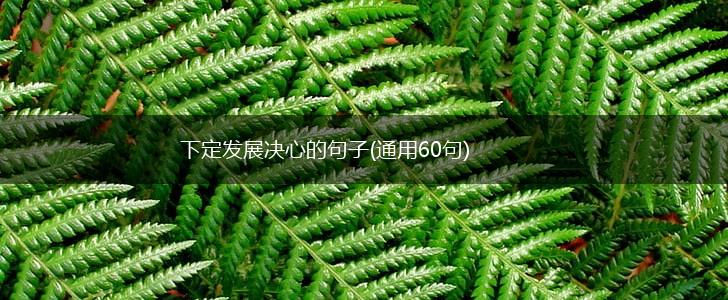 下定发展决心的句子(通用60句),第1张