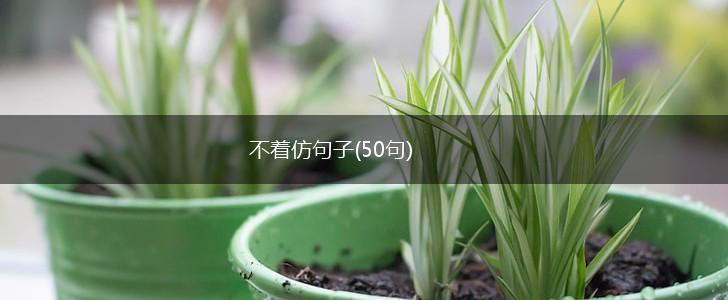 不着仿句子(50句),第1张