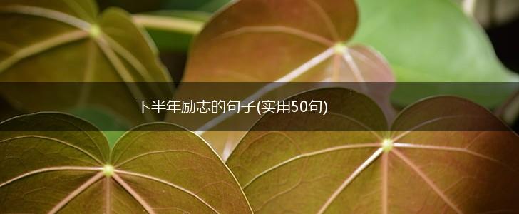 下半年励志的句子(实用50句),第1张
