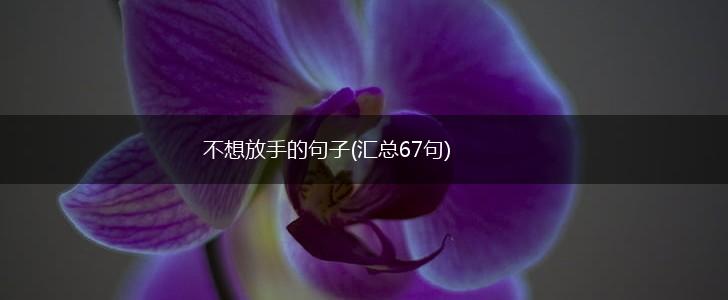 不想放手的句子(汇总67句),第1张