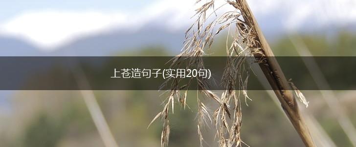 上苍造句子(实用20句),第1张