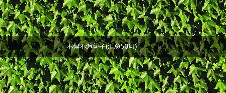 不得不造句子(汇总50句),第1张