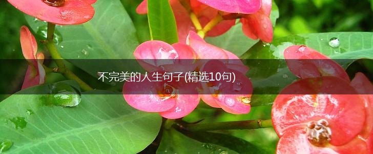 不完美的人生句子(精选10句),第1张