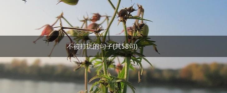 不被打扰的句子(共58句),第1张
