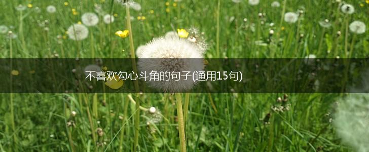 不喜欢勾心斗角的句子(通用15句),第1张