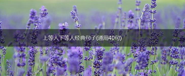 上等人下等人经典句子(通用40句),第1张
