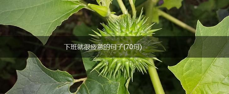 下班就很疲惫的句子(70句),第1张