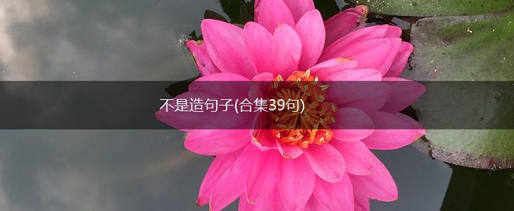 不是造句子(合集39句),第1张 不是造句子(合集39句),第1张