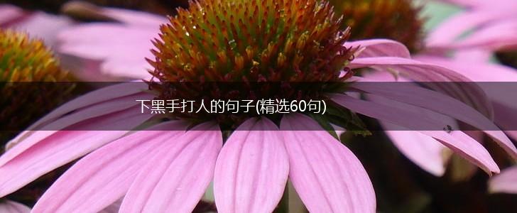 下黑手打人的句子(精选60句),第1张