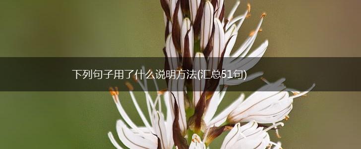 下列句子用了什么说明方法(汇总51句),第1张