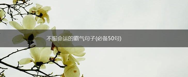 不服命运的霸气句子(必备50句),第1张