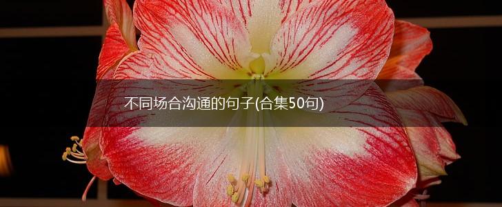 不同场合沟通的句子(合集50句),第1张