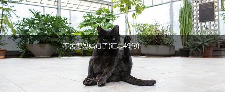 不舍得妈妈句子(汇总49句),第1张