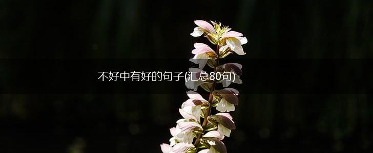 不好中有好的句子(汇总80句),第1张