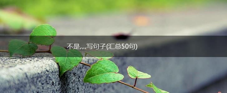 不是灬写句子(汇总50句),第1张 不是灬写句子(汇总50句),第1张