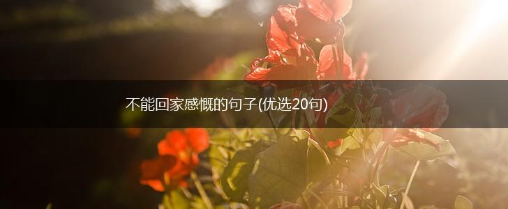 不能回家感慨的句子(优选20句),第1张