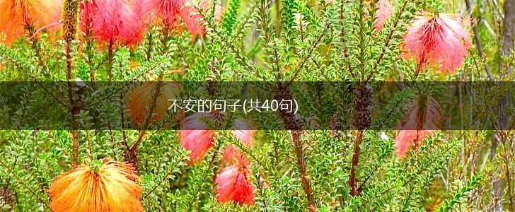 不安的句子(共40句),第1张