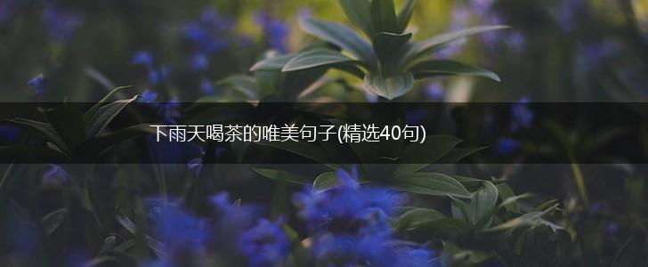 下雨天喝茶的唯美句子(精选40句),第1张