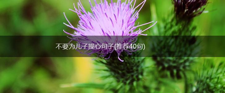 不要为儿子操心句子(推荐40句),第1张