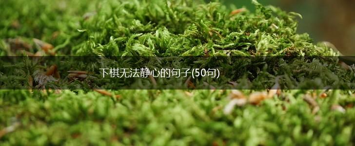 下棋无法静心的句子(50句),第1张