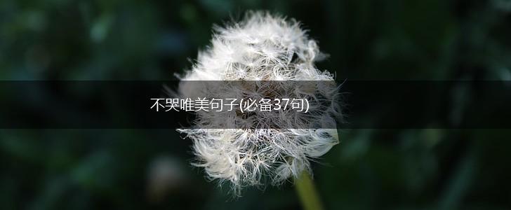 不哭唯美句子(必备37句),第1张