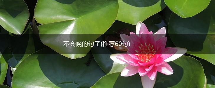 不会晚的句子(推荐60句),第1张