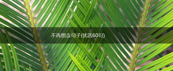 不再想念句子(优选60句),第1张