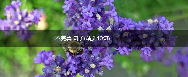 不完美 句子(精选40句),第1张
