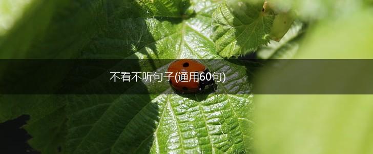 不看不听句子(通用60句),第1张