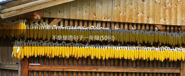 不是是造句子一年级(50句),第1张