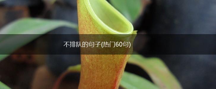 不排队的句子(热门60句),第1张