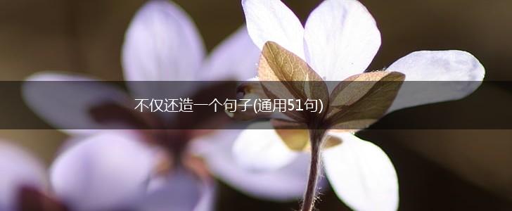 不仅还造一个句子(通用51句),第1张