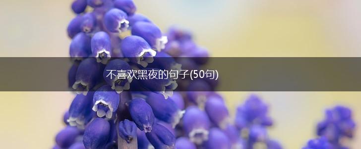 不喜欢黑夜的句子(50句),第1张
