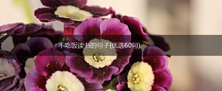 不吃饭读书的句子(优选60句),第1张