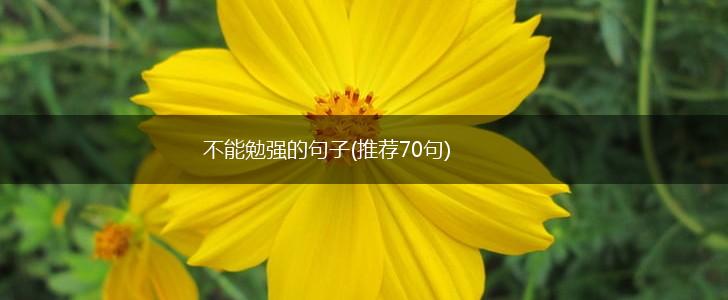 不能勉强的句子(推荐70句),第1张